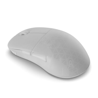 Endgame Gear XM2w 4k v2 Wireless Gaming Mouse White Frost