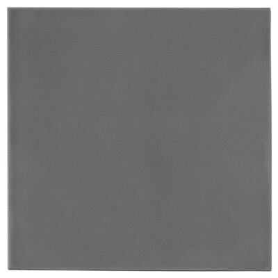 Thermal Grizzly Minus Pad Extreme V2 100x100x0.5 mm