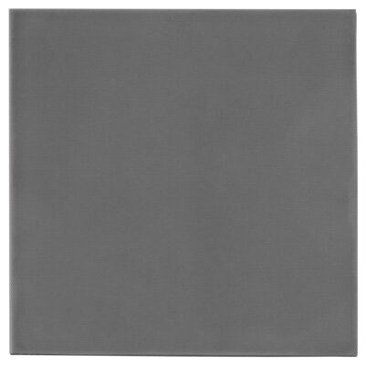 Thermal Grizzly Minus Pad Extreme V2 100x100x1.0 mm