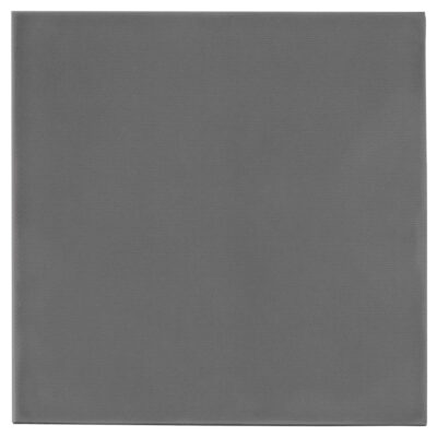 Thermal Grizzly Minus Pad Extreme V2 100x100x2.0mm