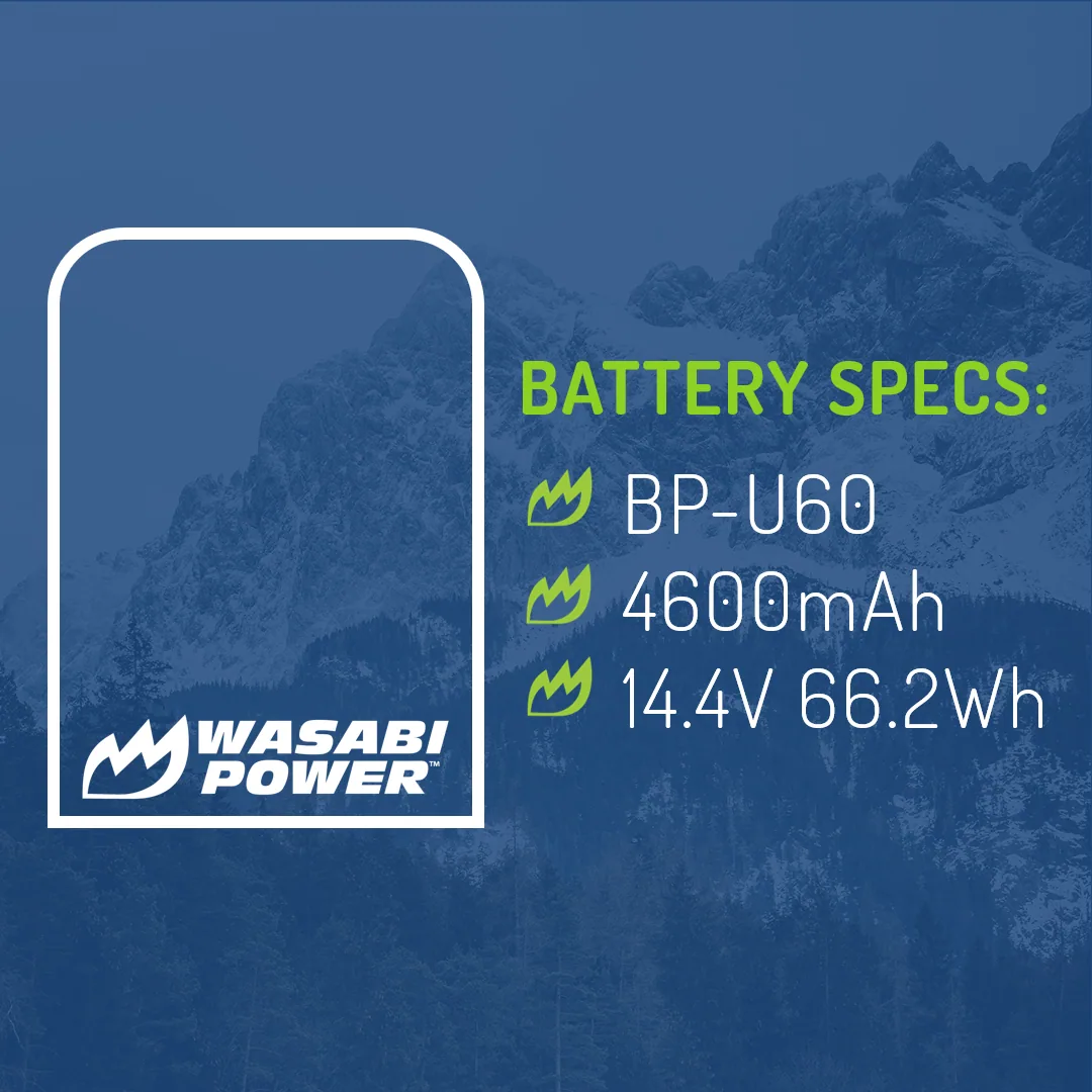 Wasabi Power Battery for Sony BP-U60