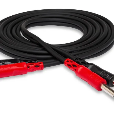 Hosa CPR-202 1/4′ to RCA Cable 2m (Molded Plugs)