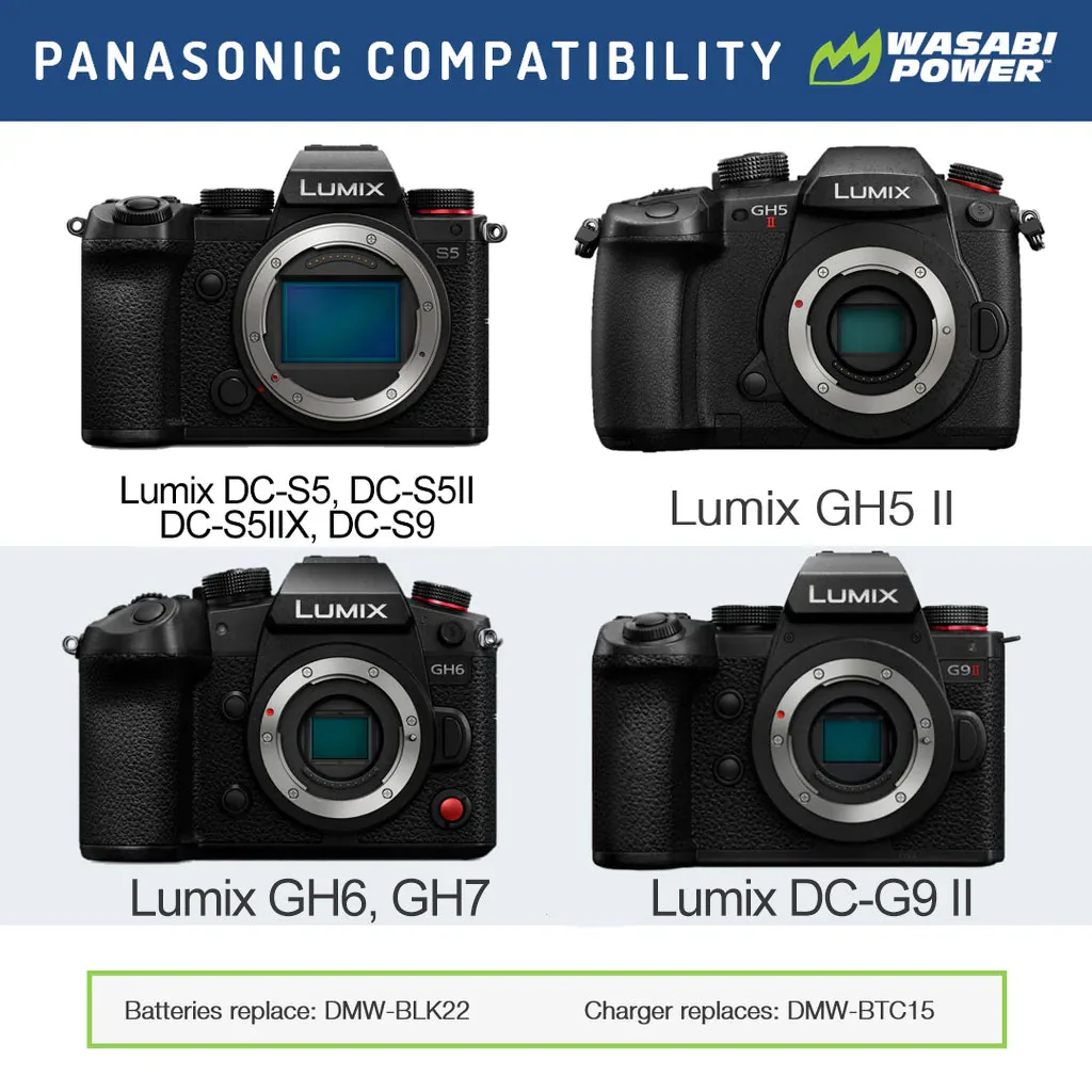 Wasabi Power BLK22 Battery and Dual Charger for Panasonic