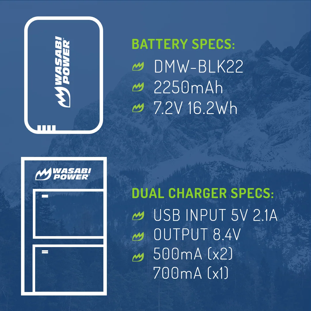 Wasabi Power BLK22 Battery and Dual Charger for Panasonic