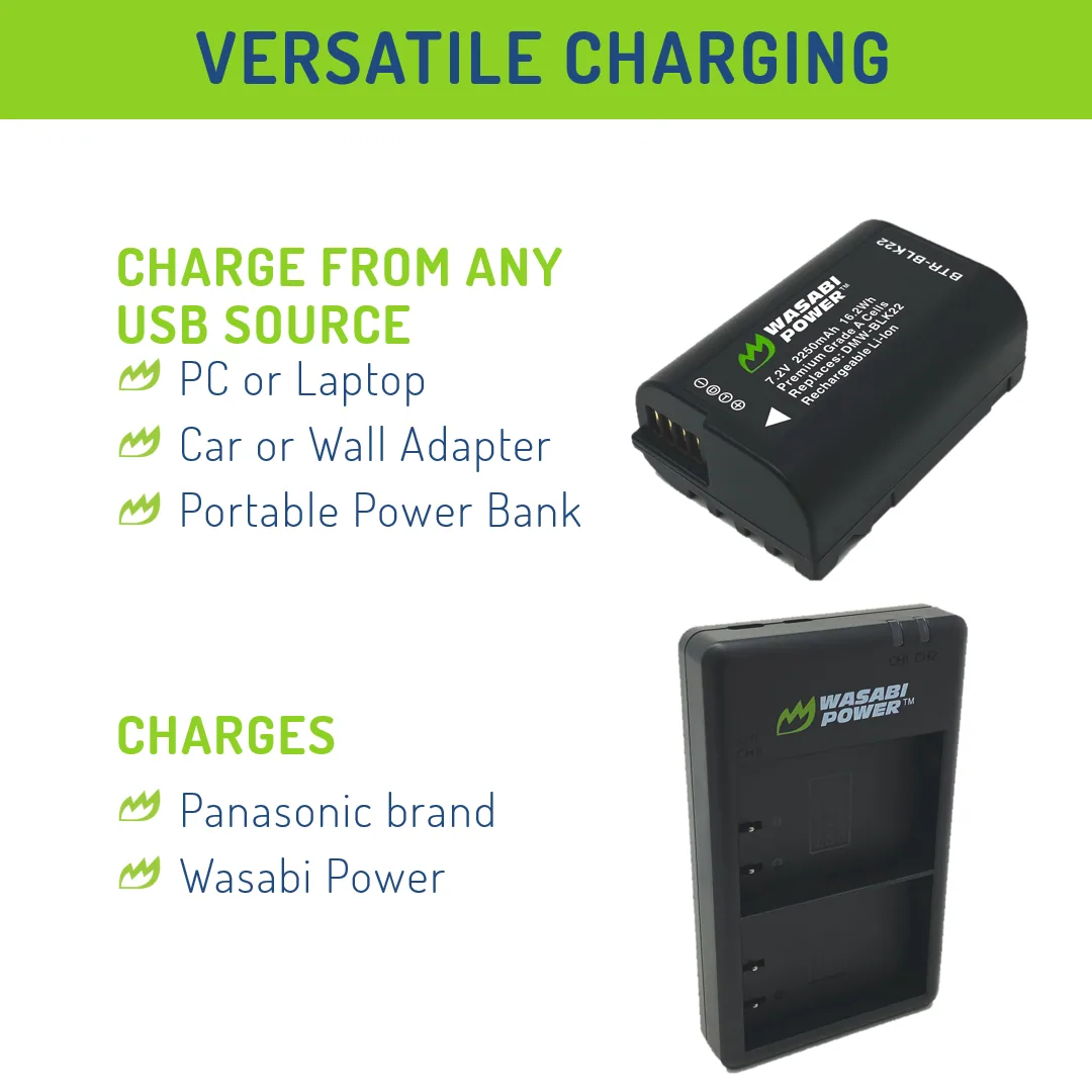 Wasabi Power BLK22 Battery and Dual Charger for Panasonic